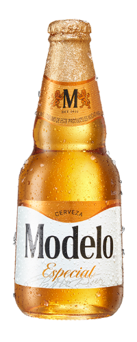 Modelo Especial Bottle 355